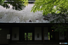 天