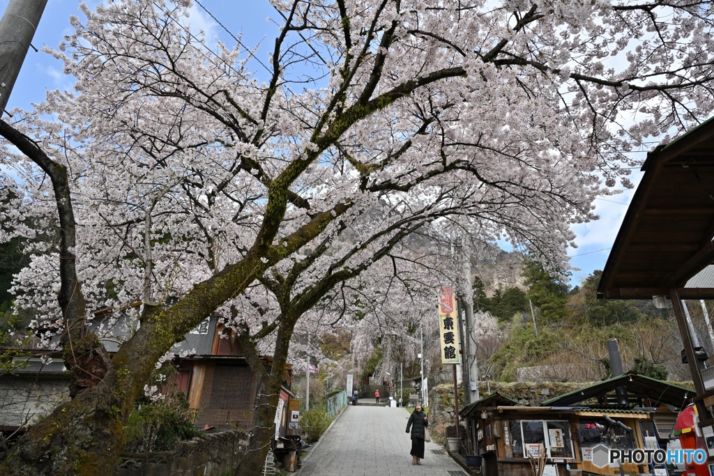 妙義神社参道