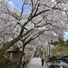 妙義神社参道