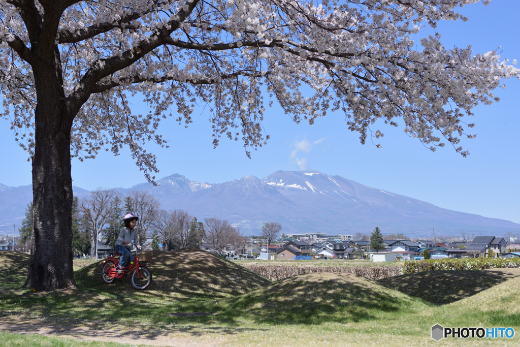 桜咲く小路