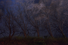 夜気 夜気