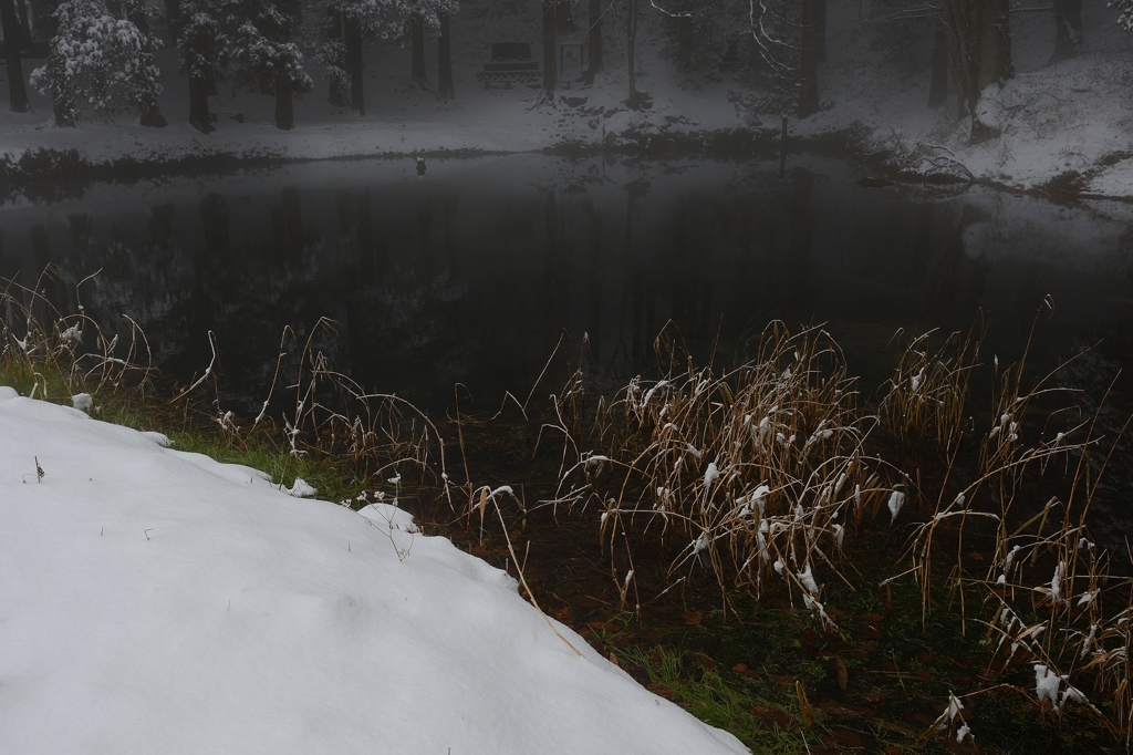 龍の棲む池－冬－