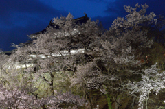 上田城千本桜