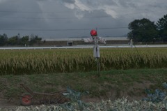 秋を呼ぶ嵐の予感