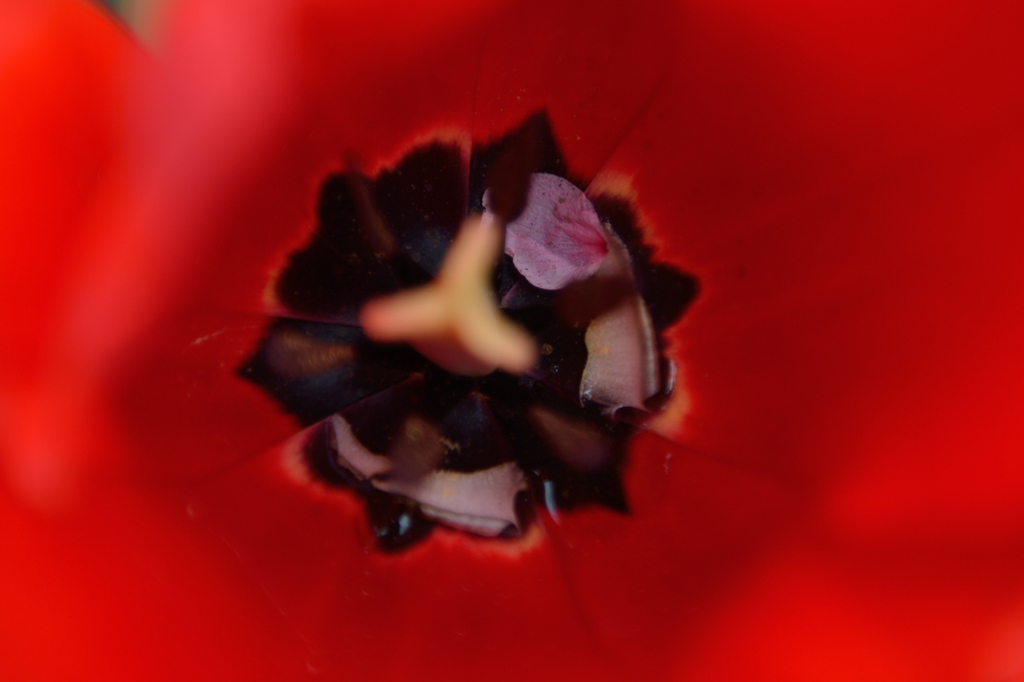 HYBRID