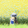 ひまわり畑