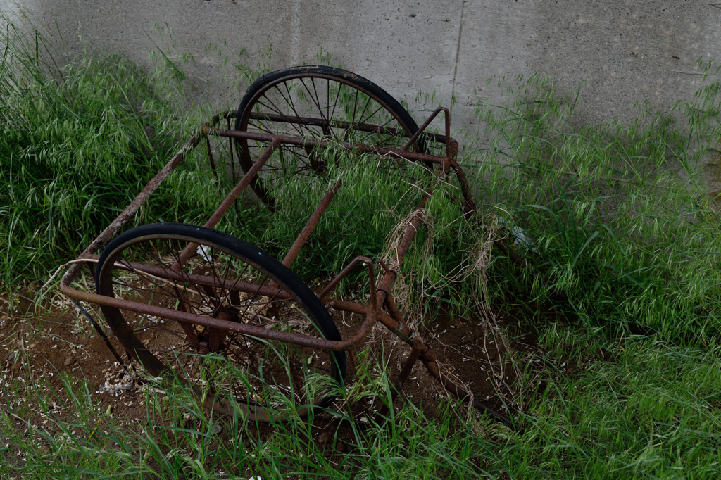 遺物　撮り直し