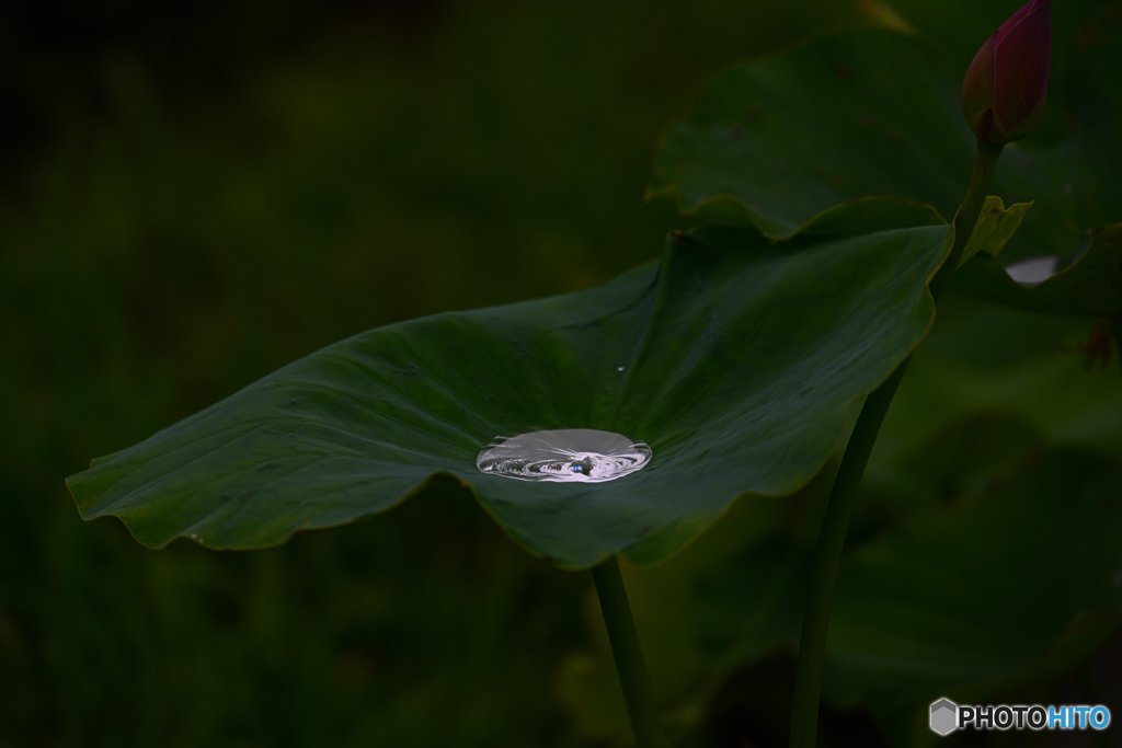 水銀