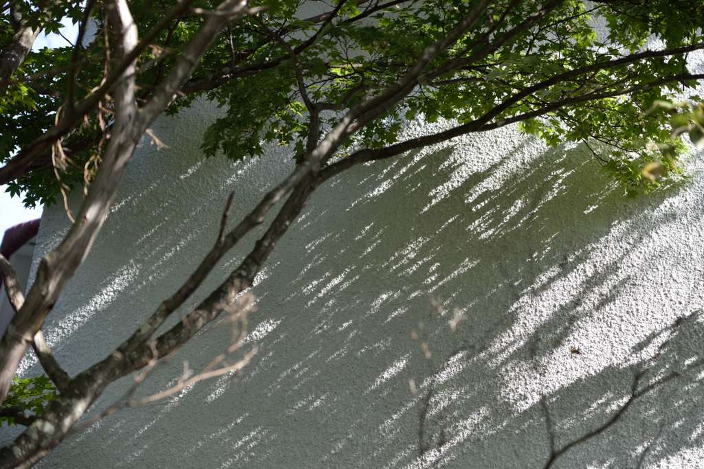 小山敬三美術館