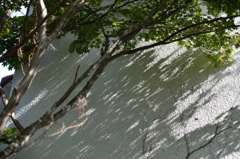 小山敬三美術館