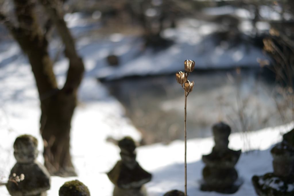 津金寺　歳末