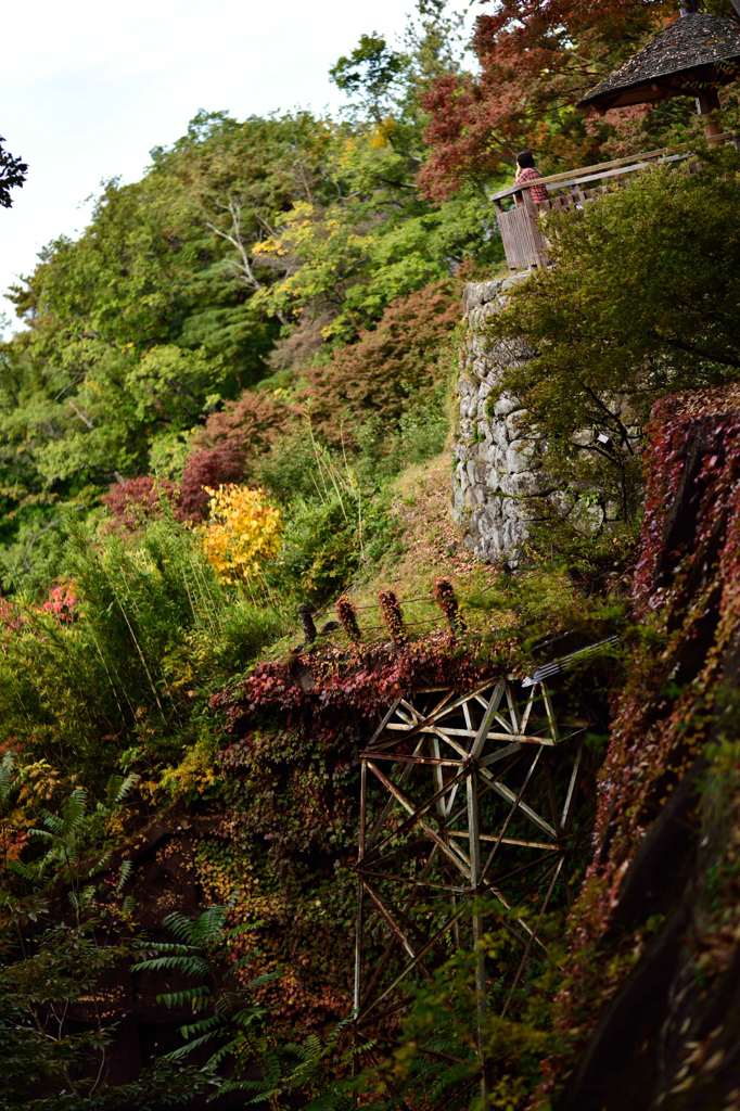 錦秋　崖の乙女