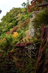 錦秋　崖の乙女