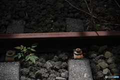 錆