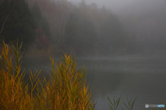 秋霧の木戸池