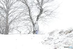 雪の月光仮面