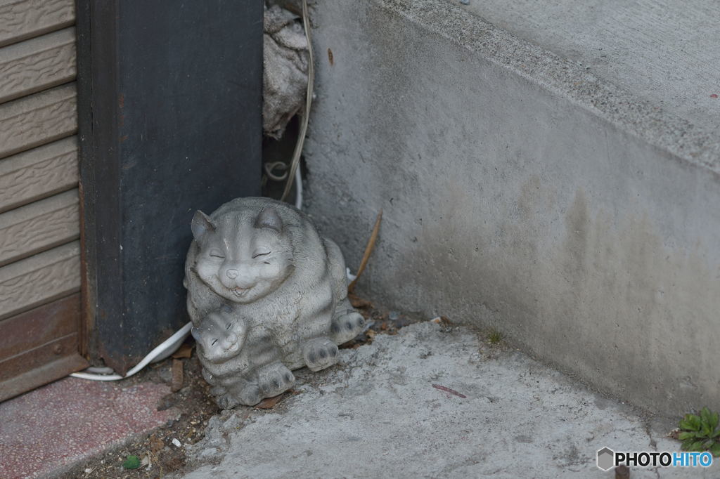 吾輩もヒトを相手にしない