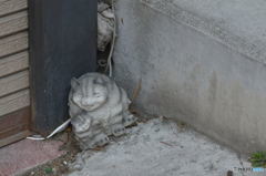 吾輩もヒトを相手にしない