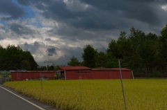 秋を呼ぶ嵐の予兆