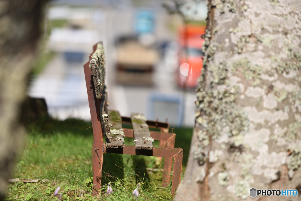 ベンチのプロフィール