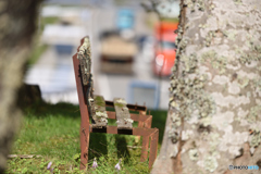 ベンチのプロフィール