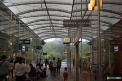 ガラスと膜の避暑地