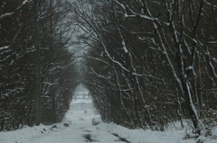 雪道