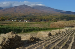 正調『浅麓秋景』 正調『浅麓秋景』