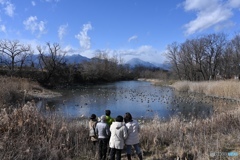 白鳥のいない湖（のような川の淀み）＠梓川