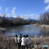 白鳥のいない湖（のような川の淀み）＠梓川