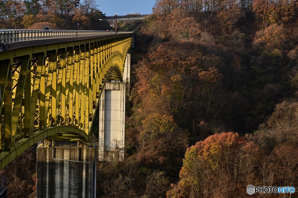 朝の橋