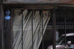 5253　CURTAIN