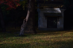 隅