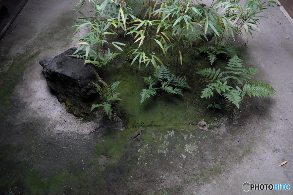 中庭