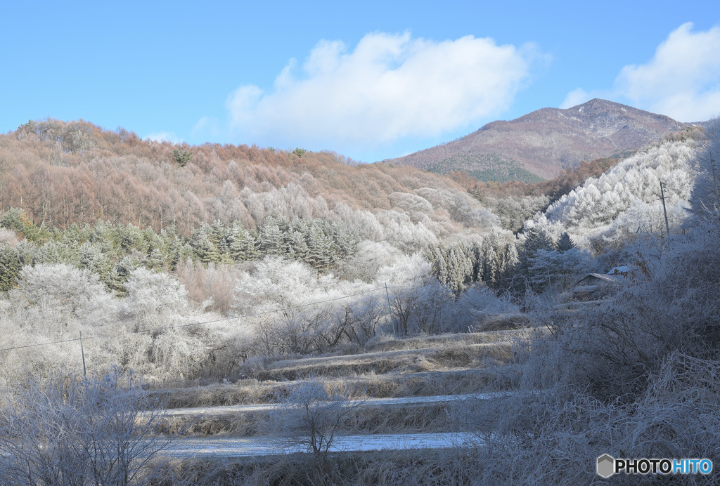 冬の山麓