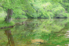 湖沼
