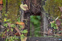 橋のディテール　7