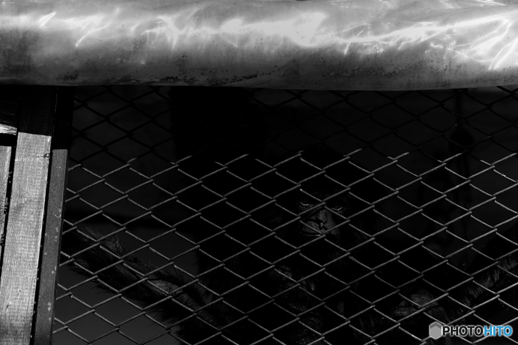 The Haunter of the Dark 0061