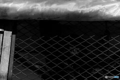 The Haunter of the Dark 0061 The Haunter of the Dark 0061