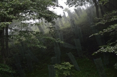 乱舞　一反木綿