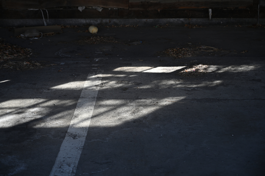 light in the Dark