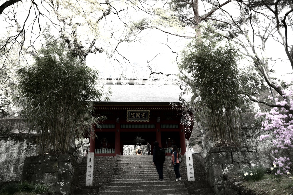 門（gate）