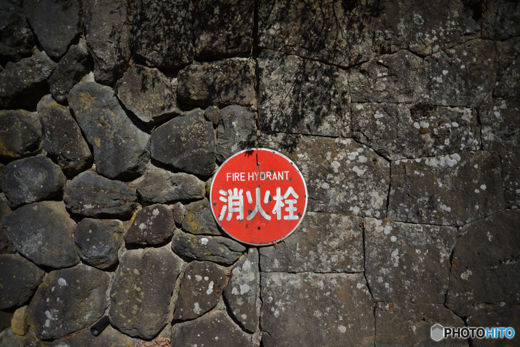 by　D600