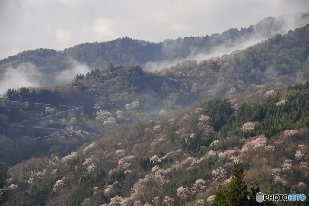 陸郷　遠い春