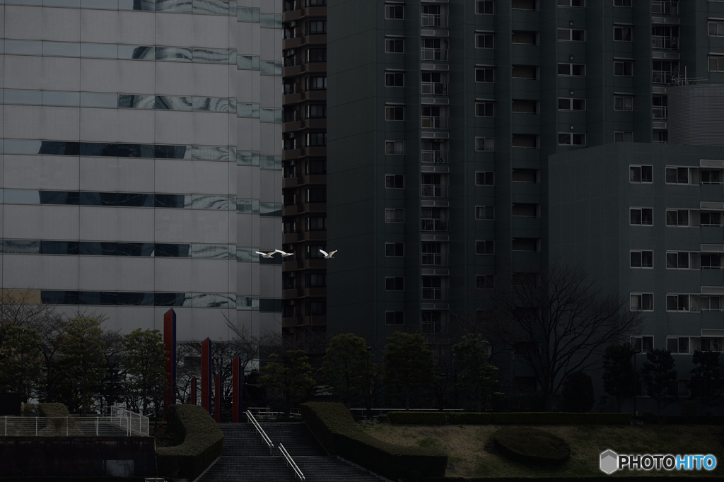 鈍色のバラード