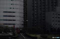 鈍色のバラード