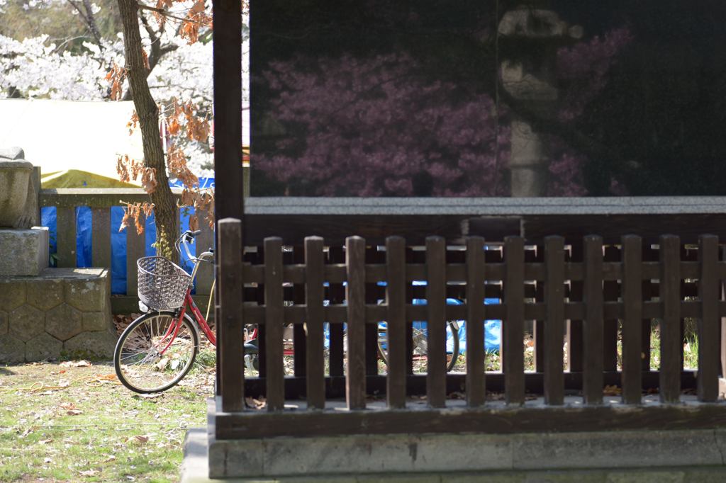 自転車