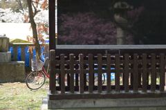 自転車