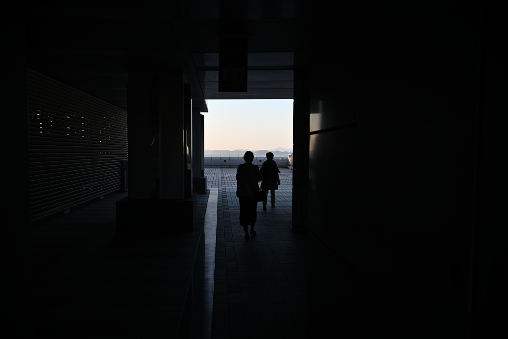 Soul Vision（母子)