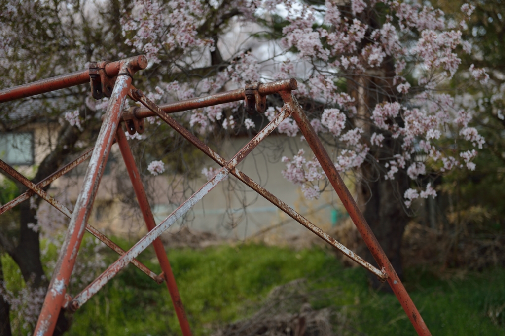 春と遊具